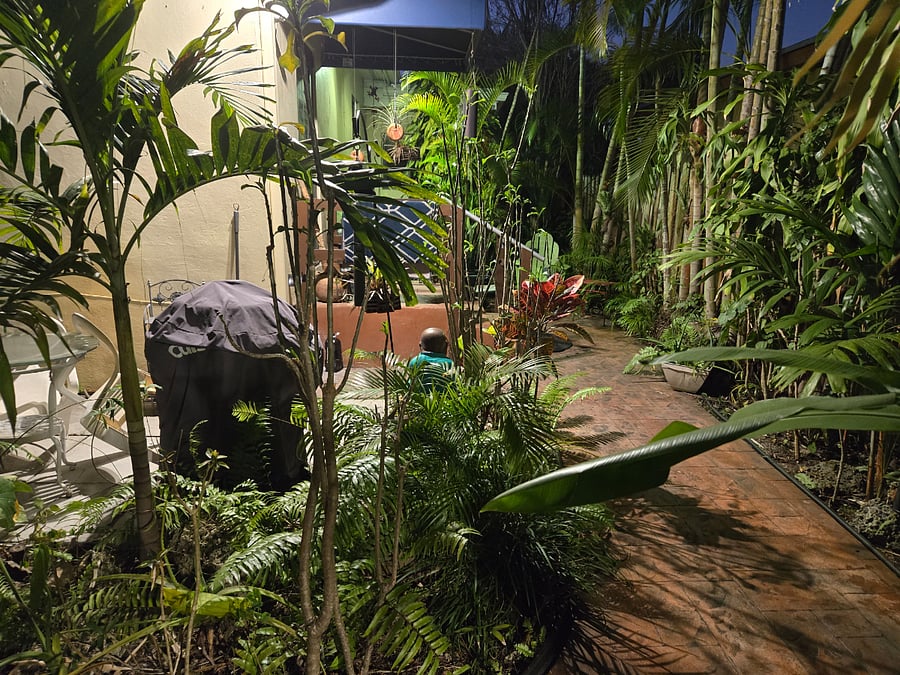 Photo 25