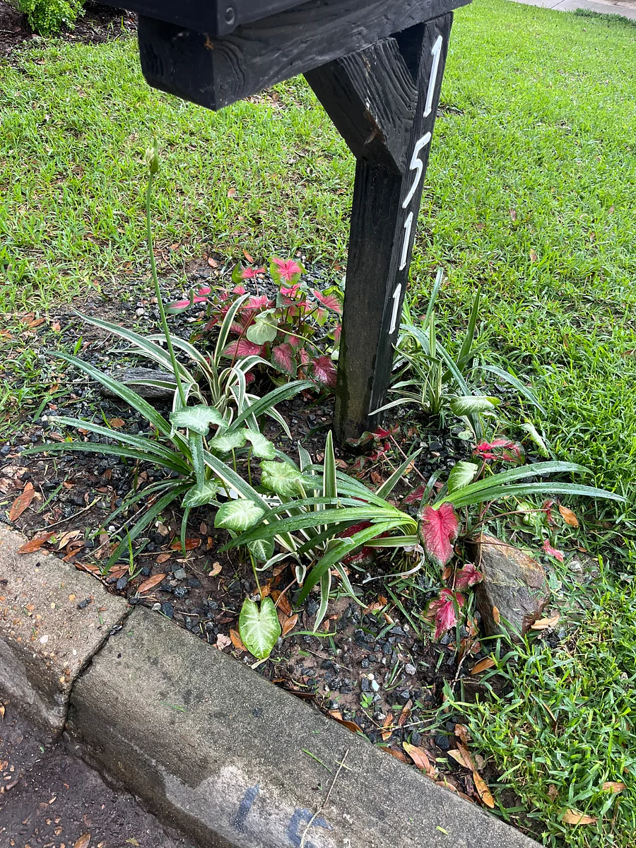 Photo 13