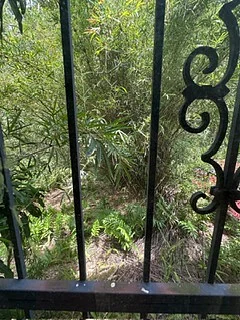 Photo 26