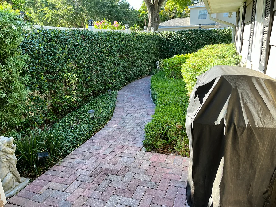 Photo 21