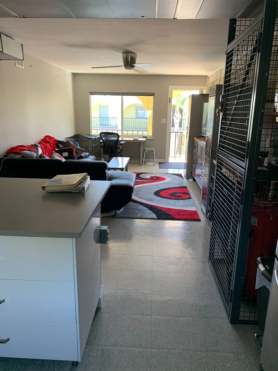 Photo 16