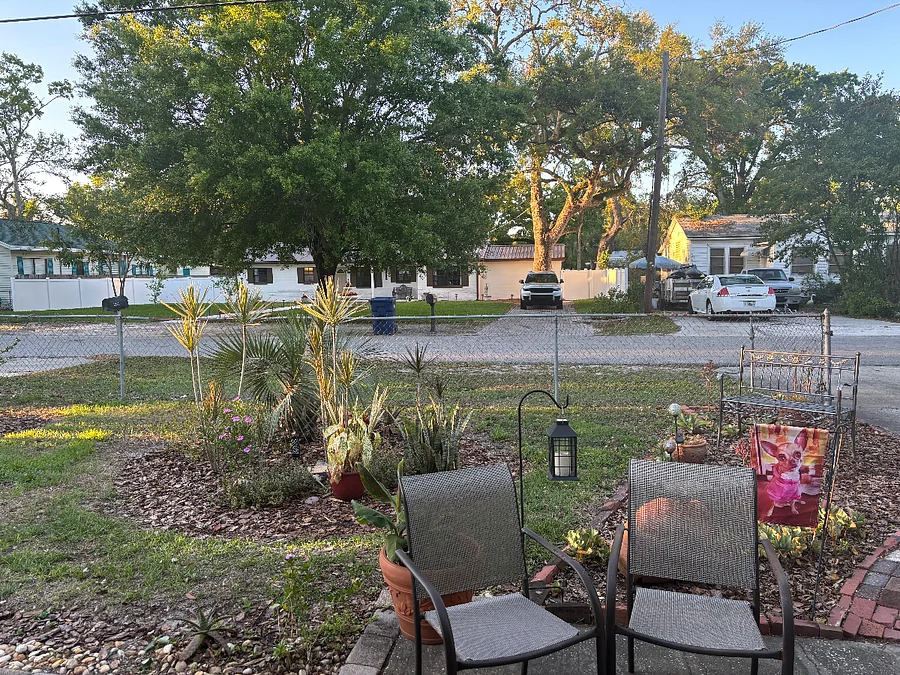 Photo 19