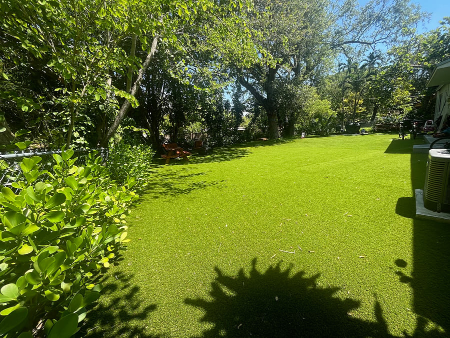 Photo 26