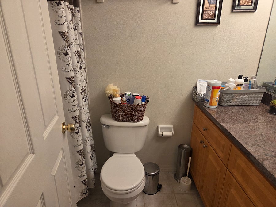 Photo 8