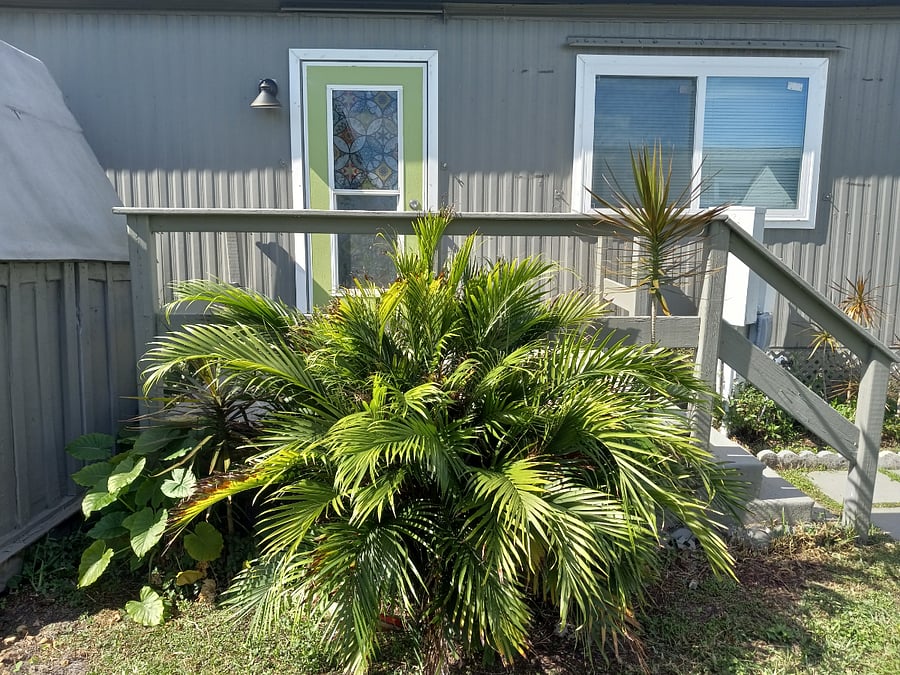 Photo 4