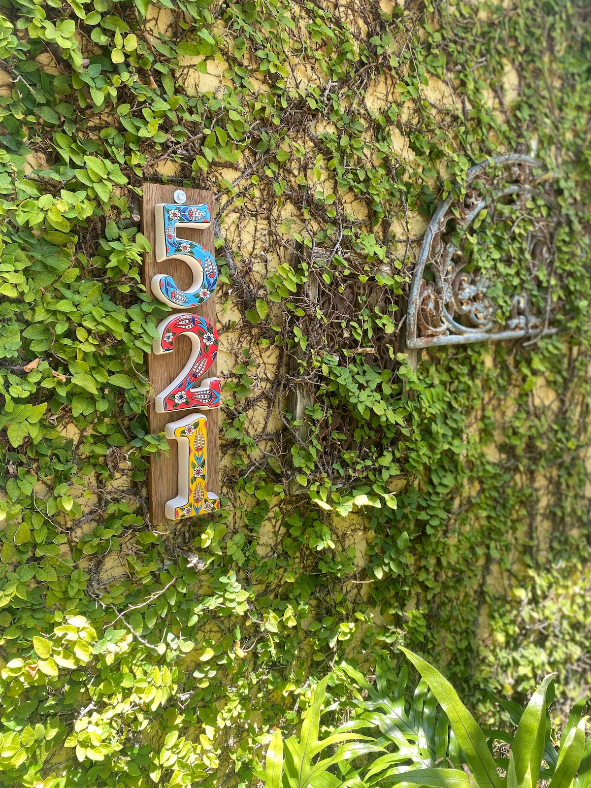 Photo 14