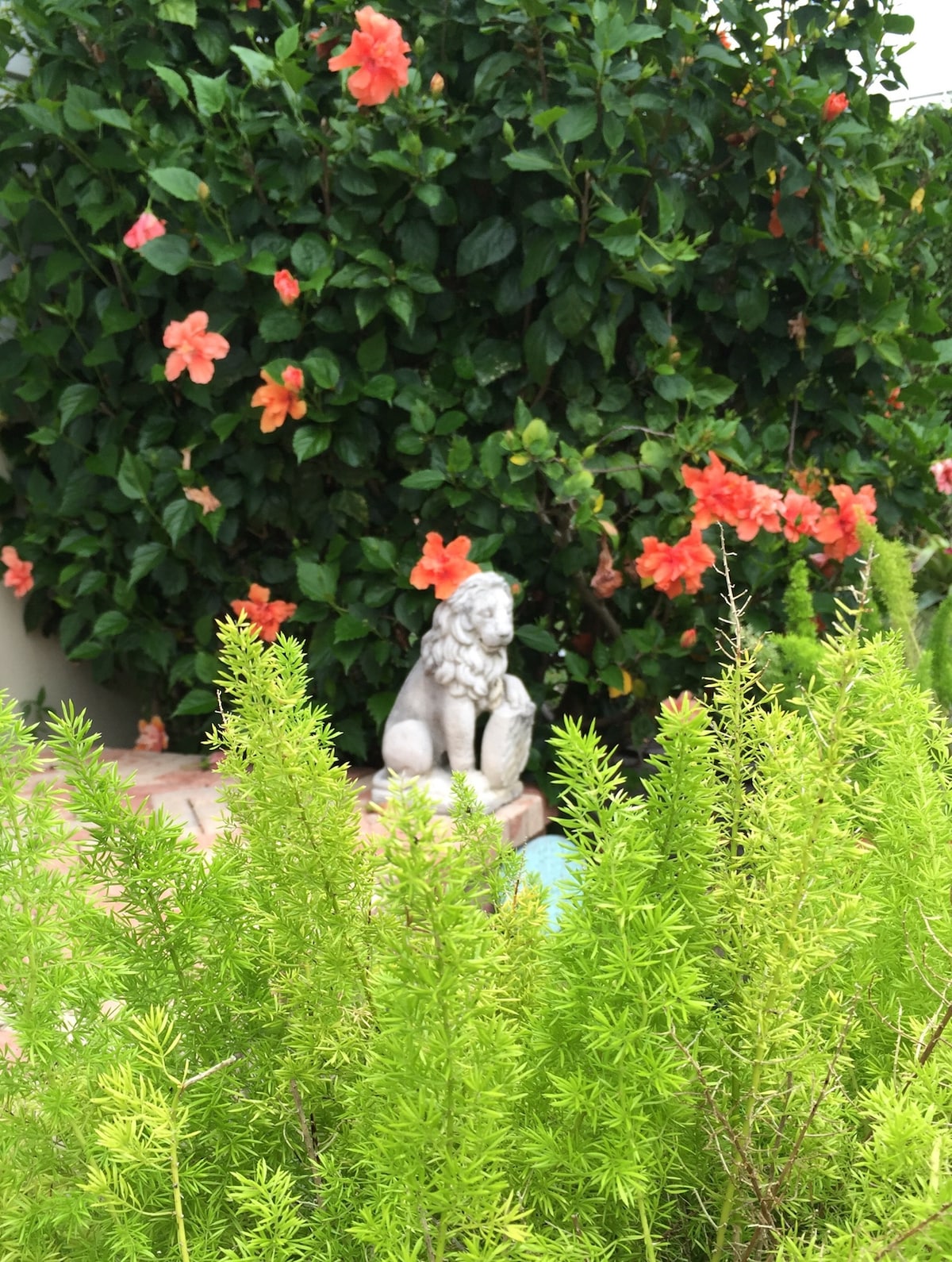 Photo 24