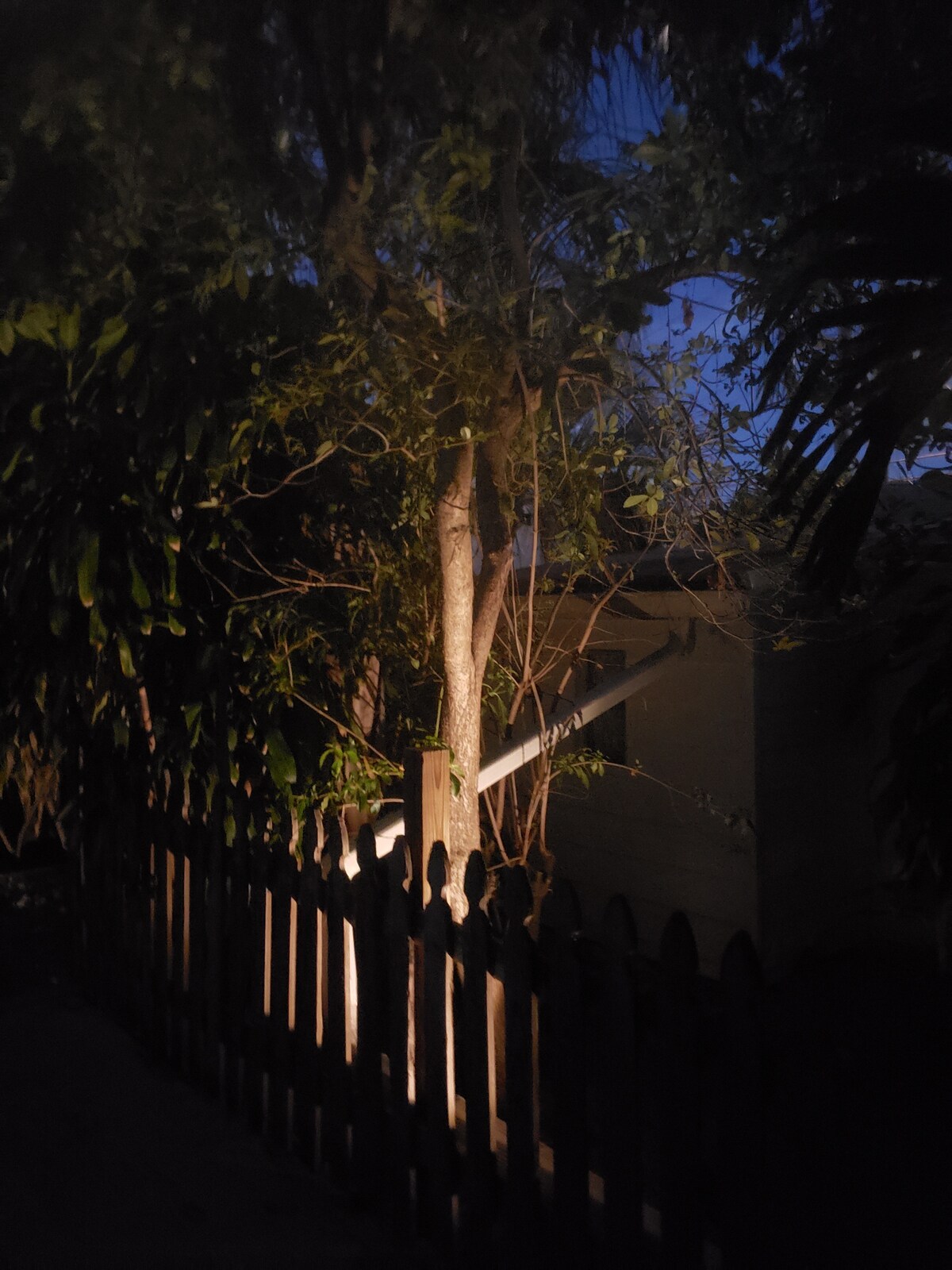 Photo 46