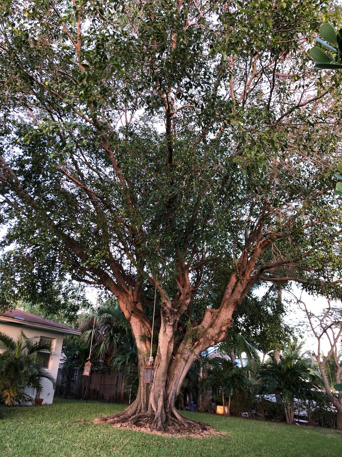 Photo 35
