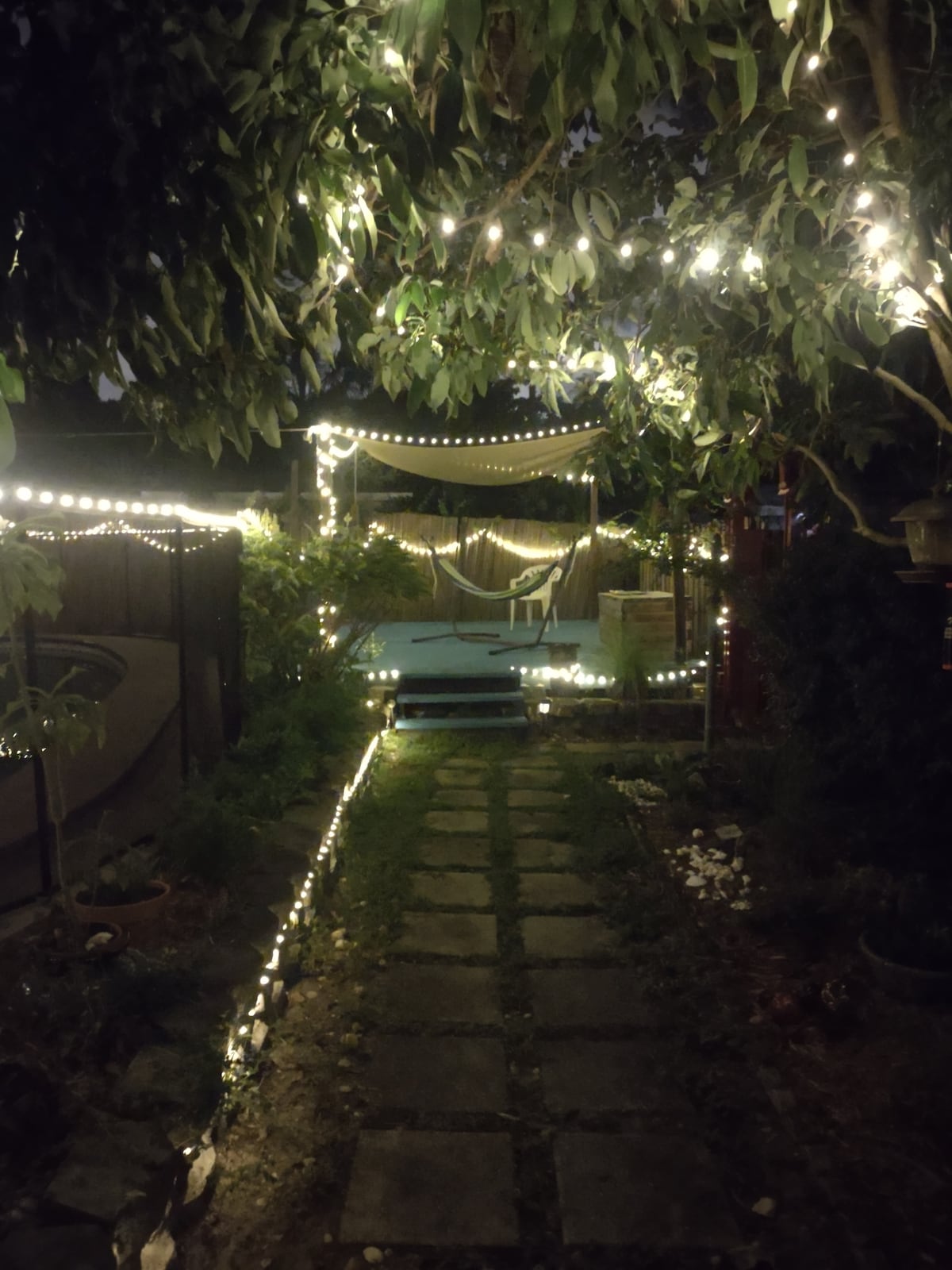 Photo 25