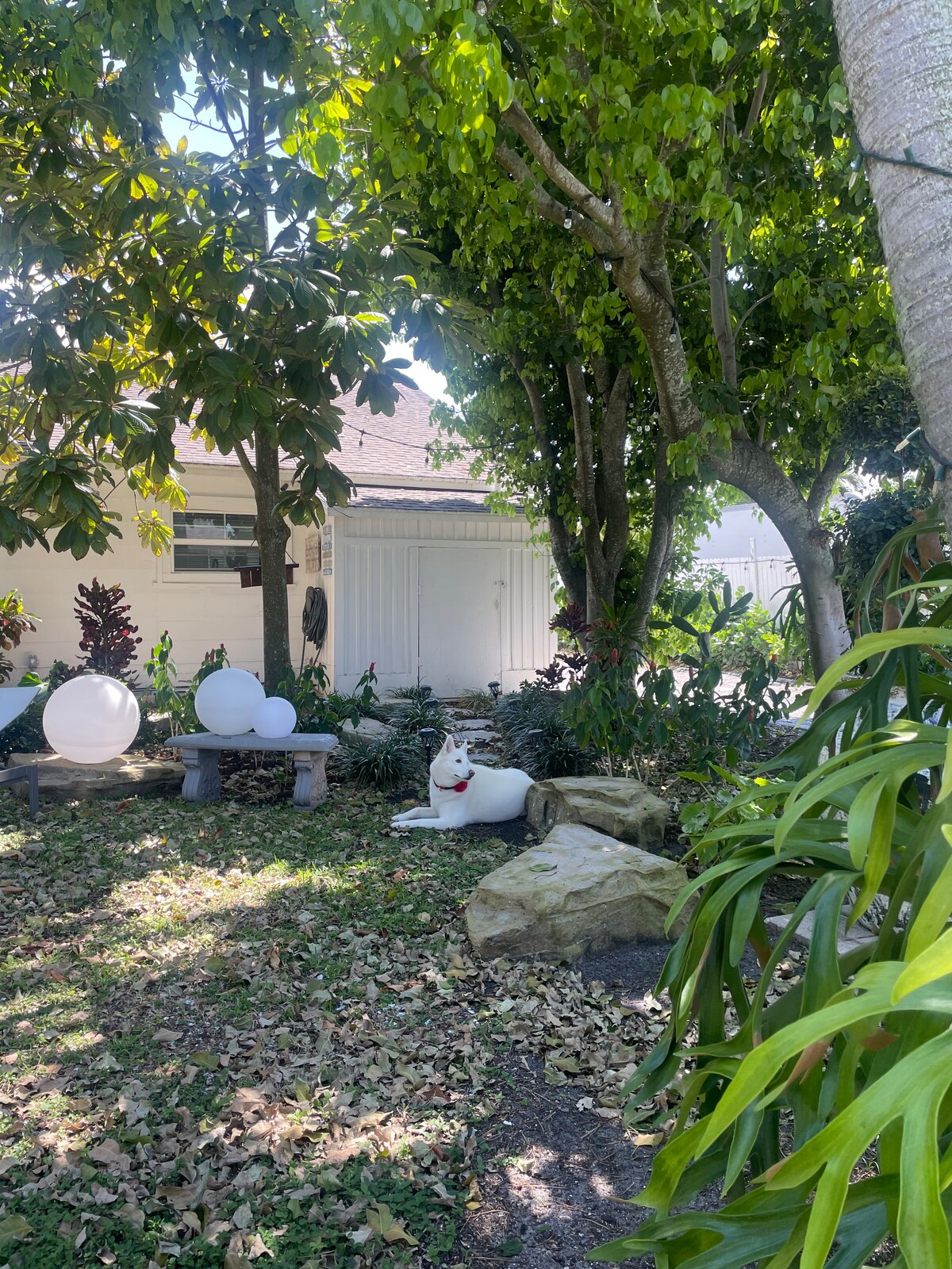 Photo 41