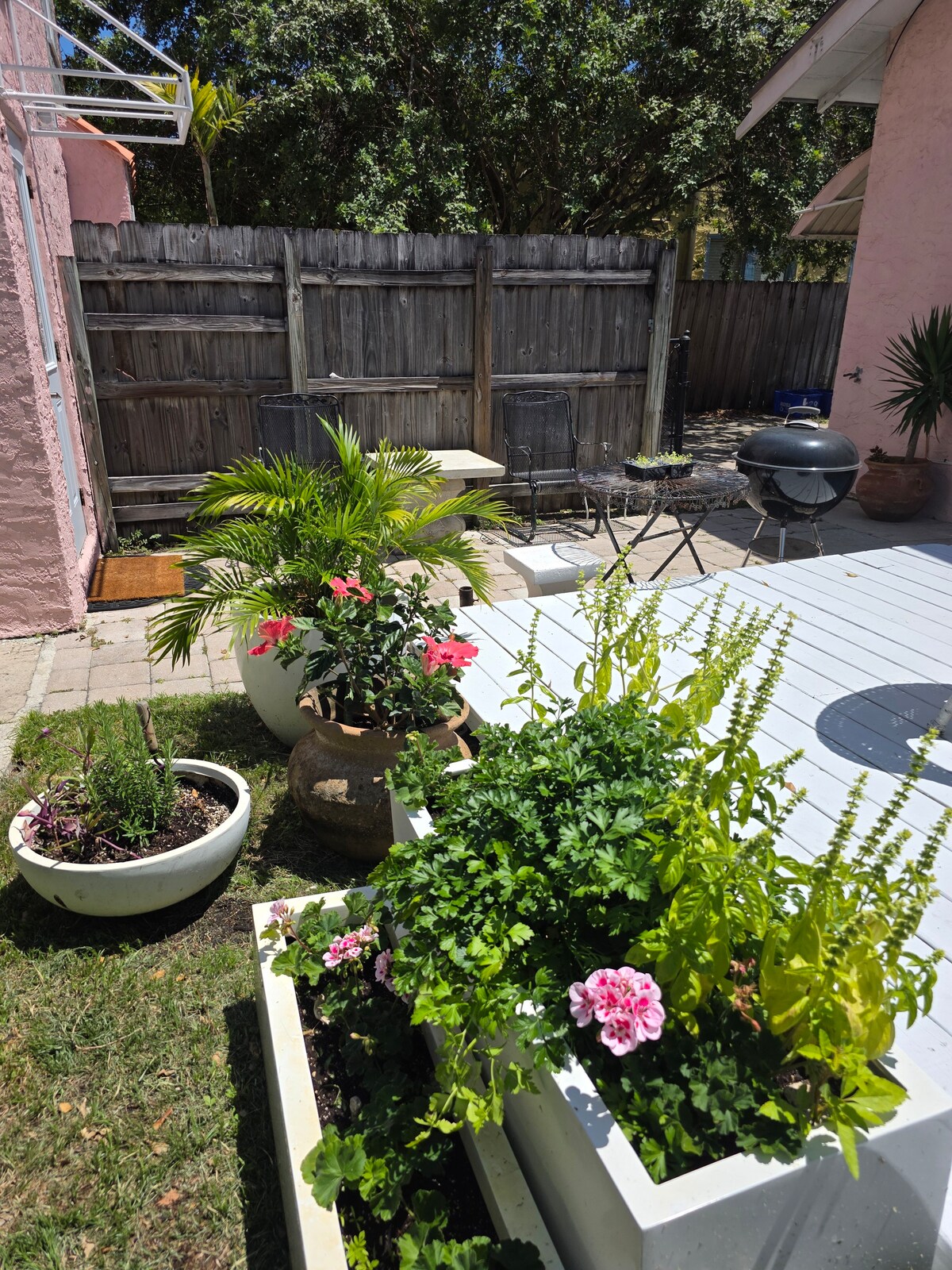 Photo 33