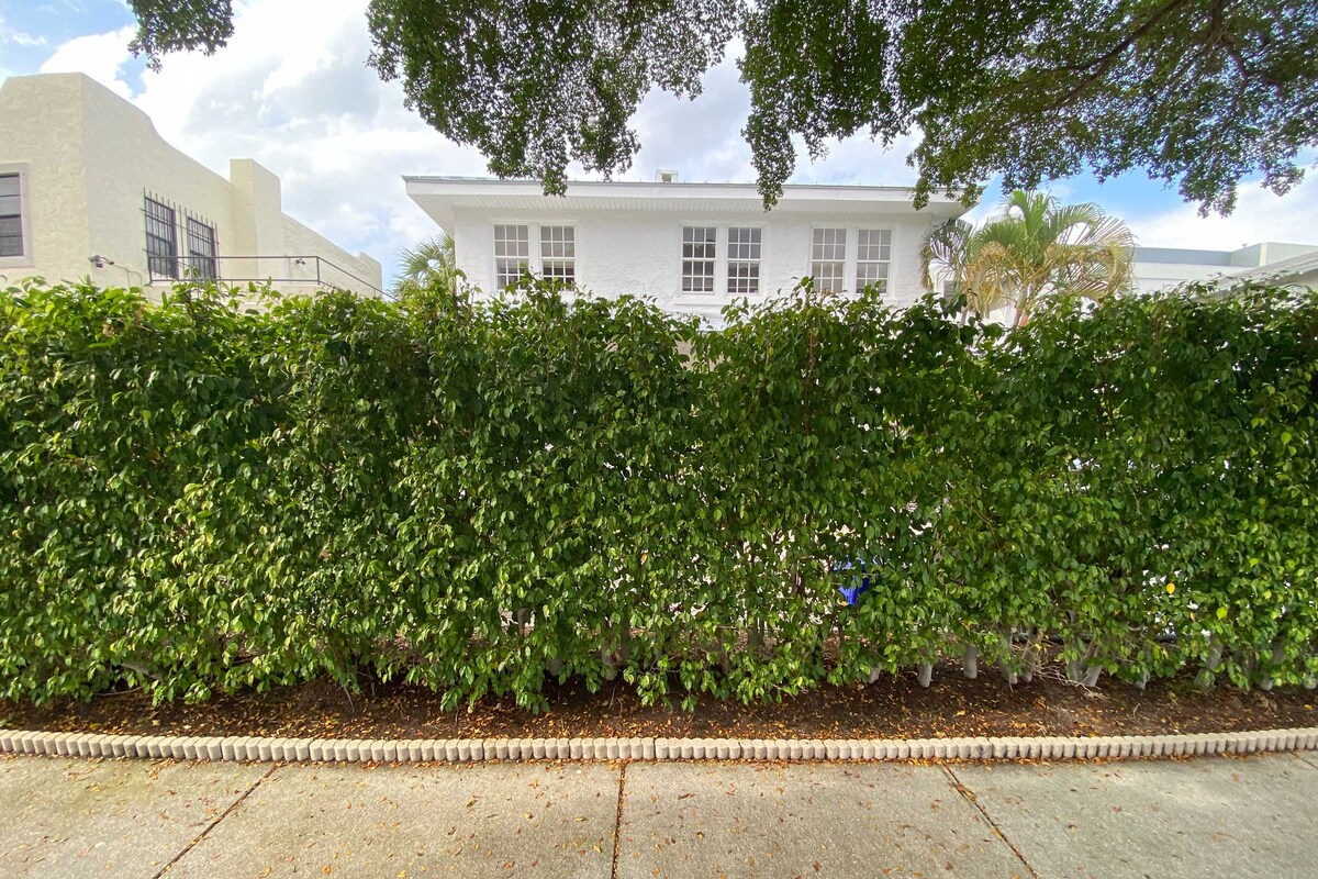 Photo 43