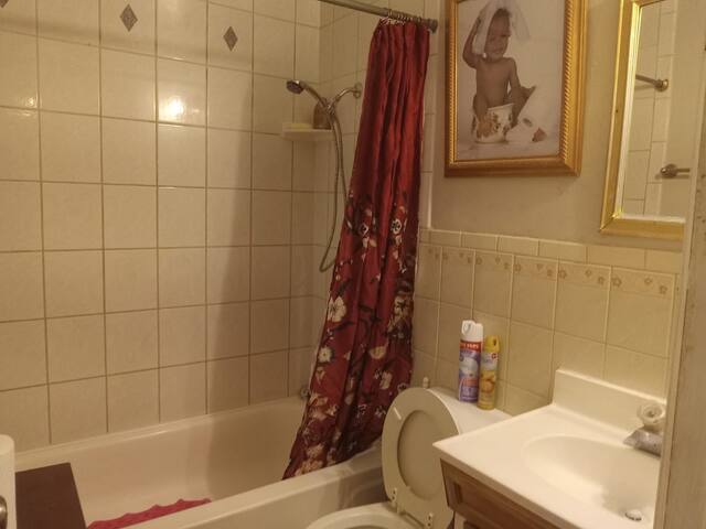 Photo 7