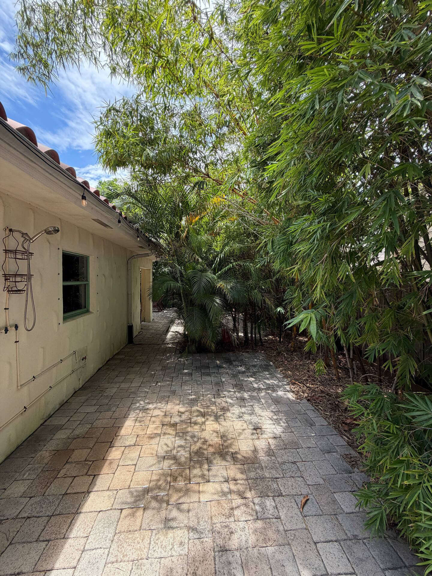 Photo 35