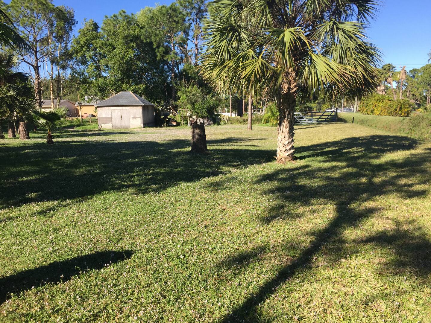 Photo 22