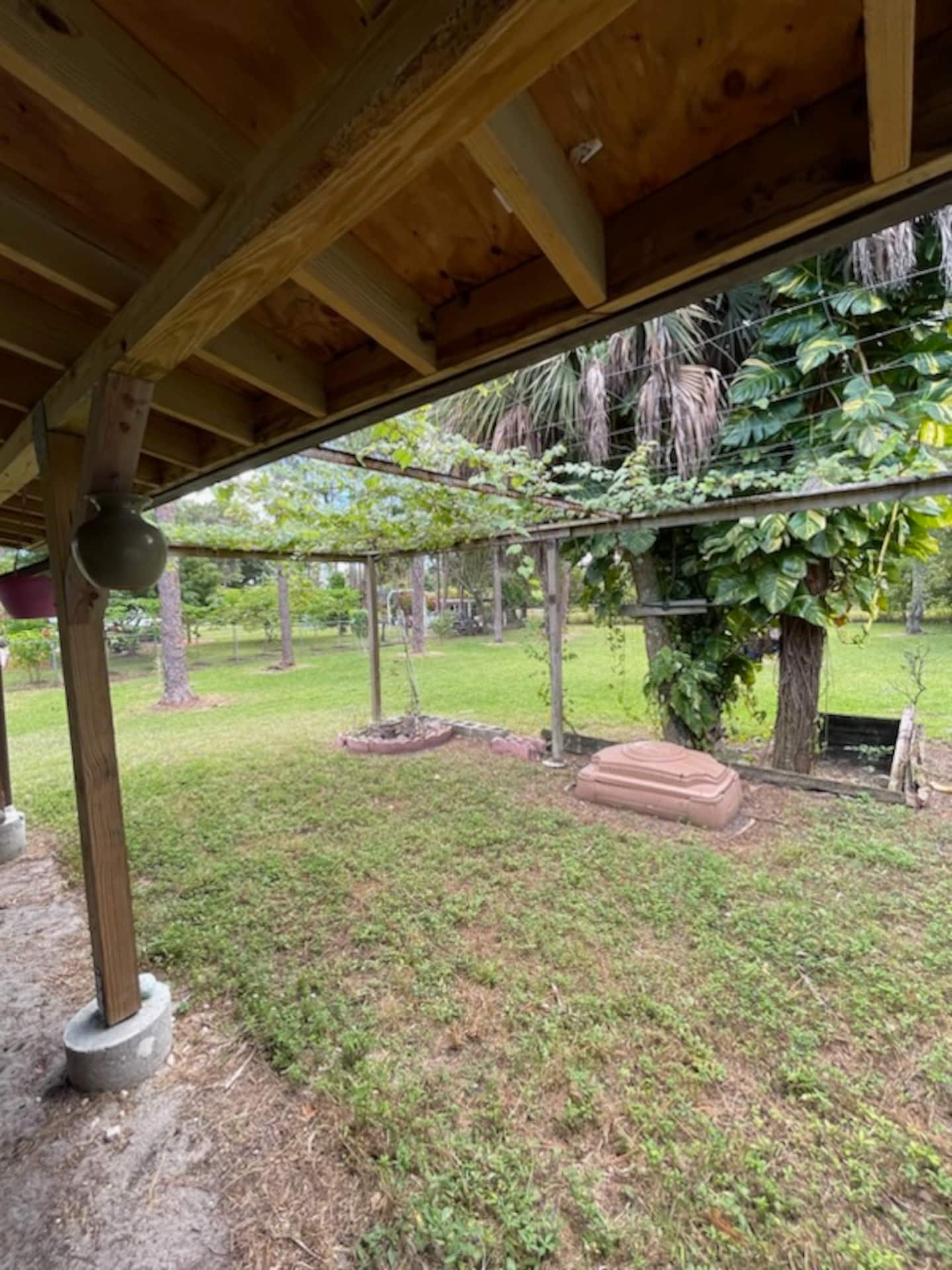 Photo 42
