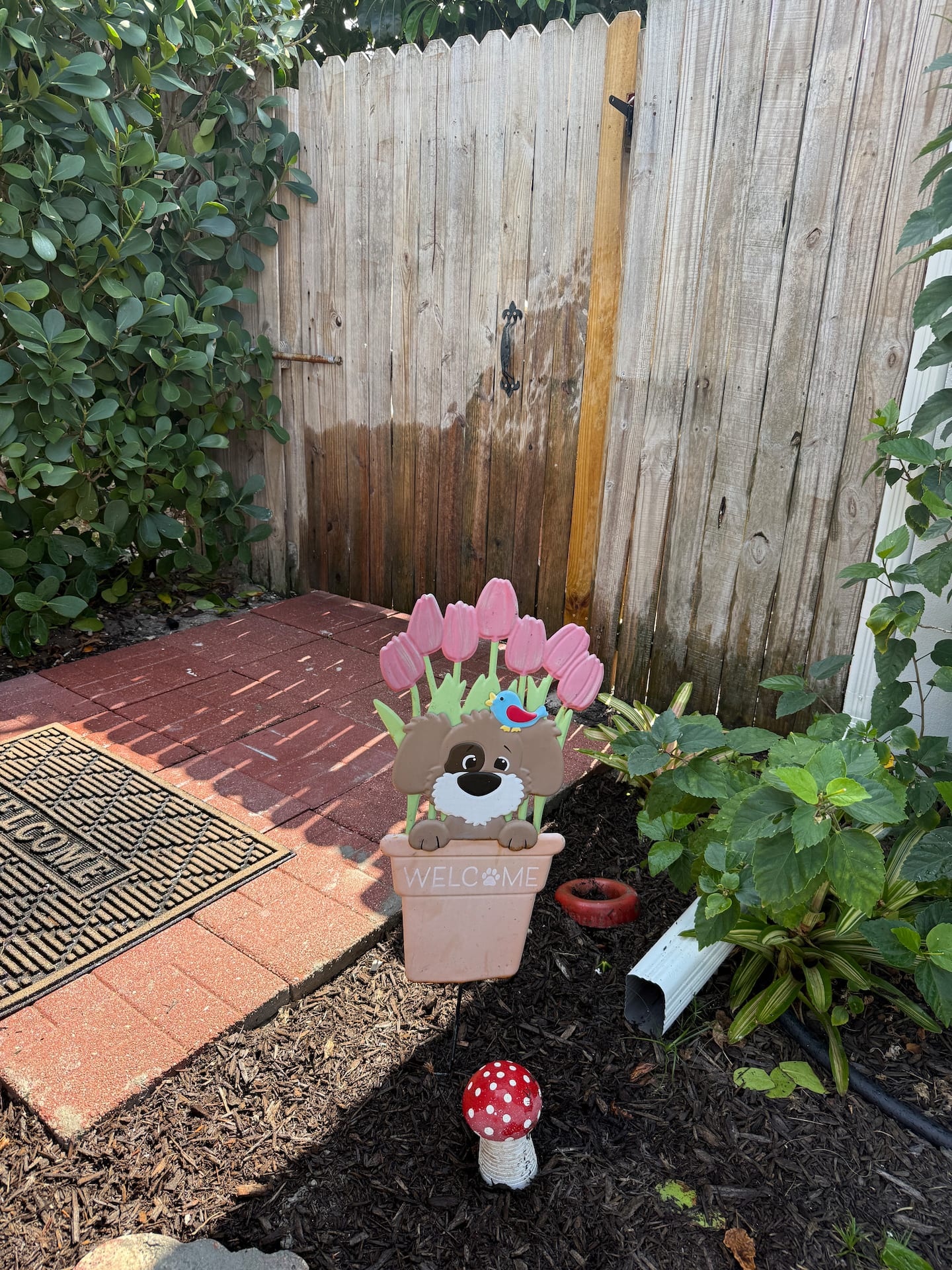 Photo 38