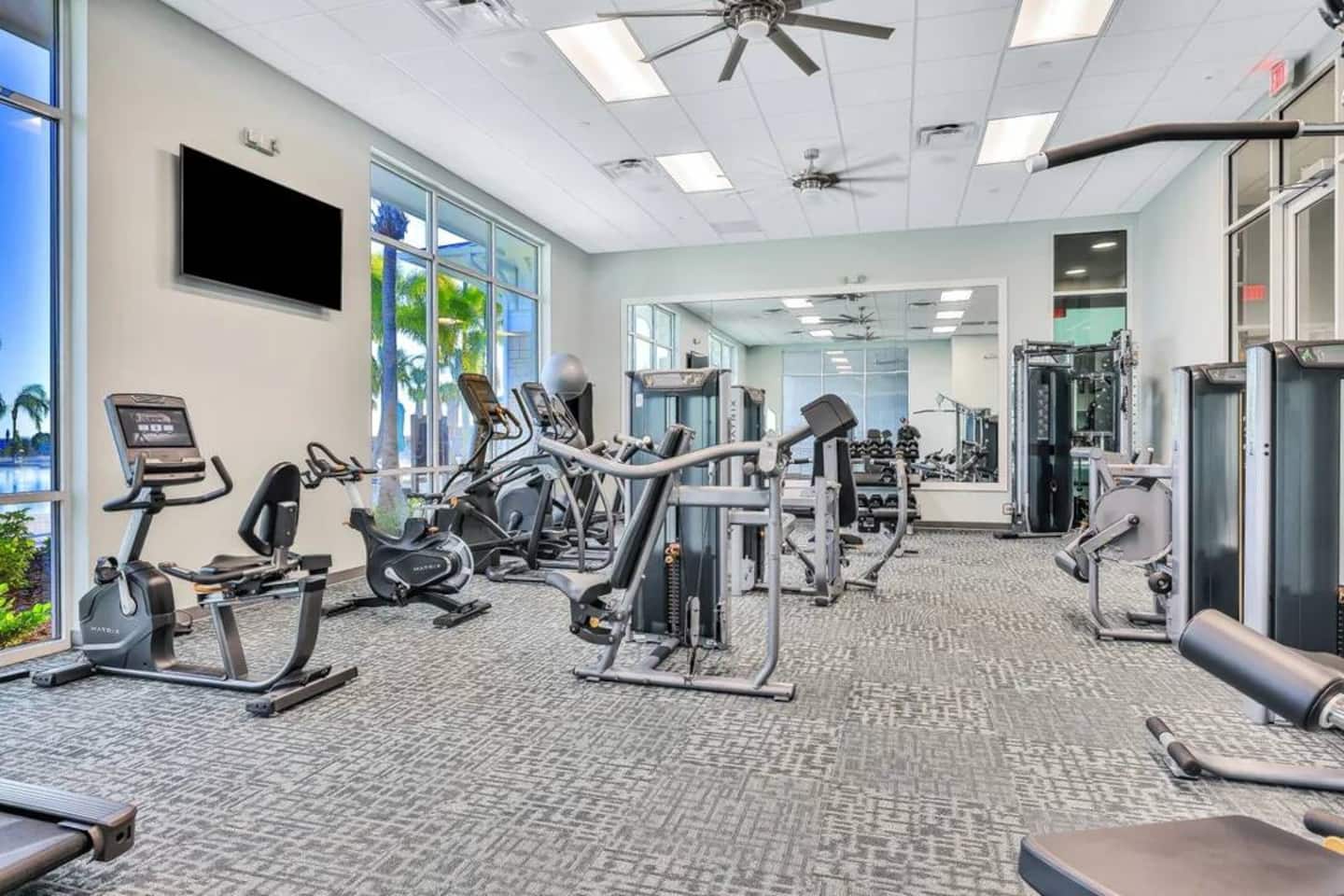 Photo 46