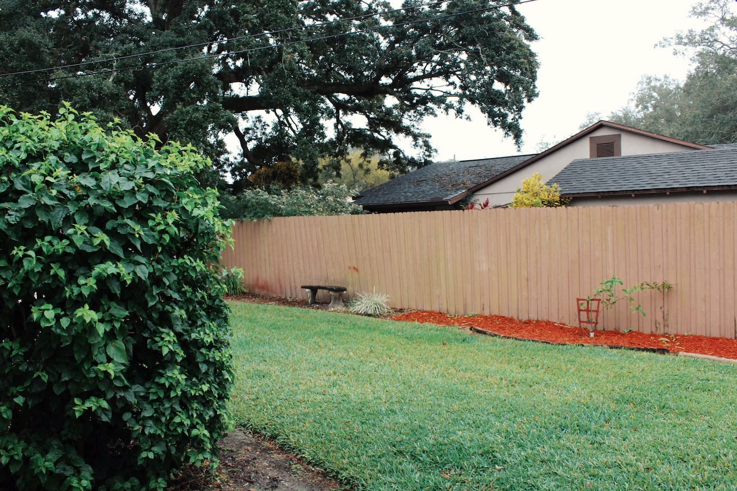 Photo 48