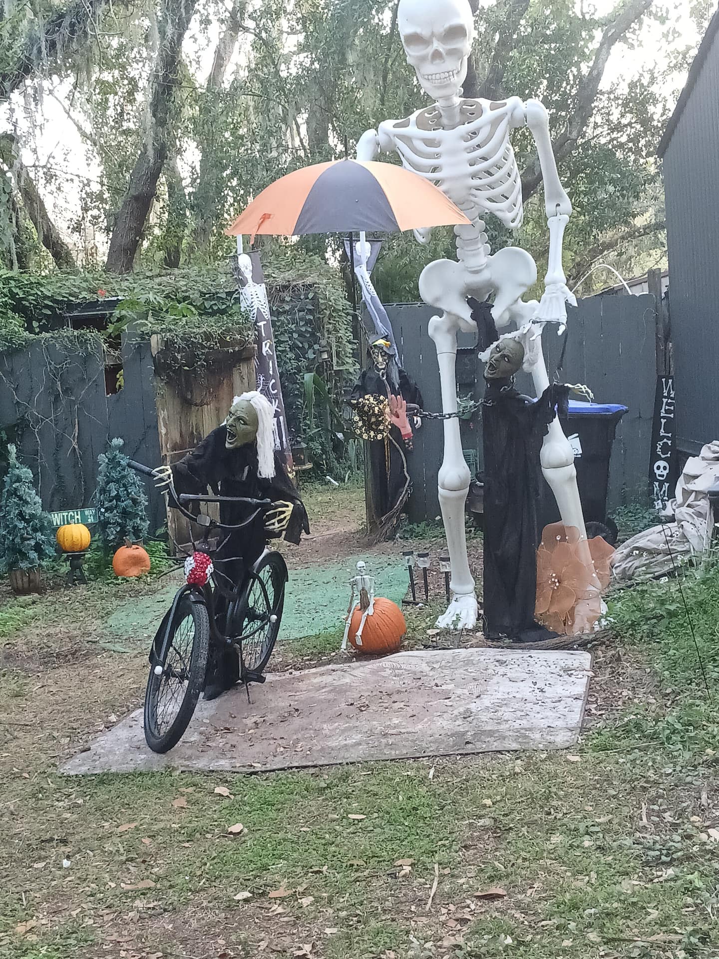 Photo 17