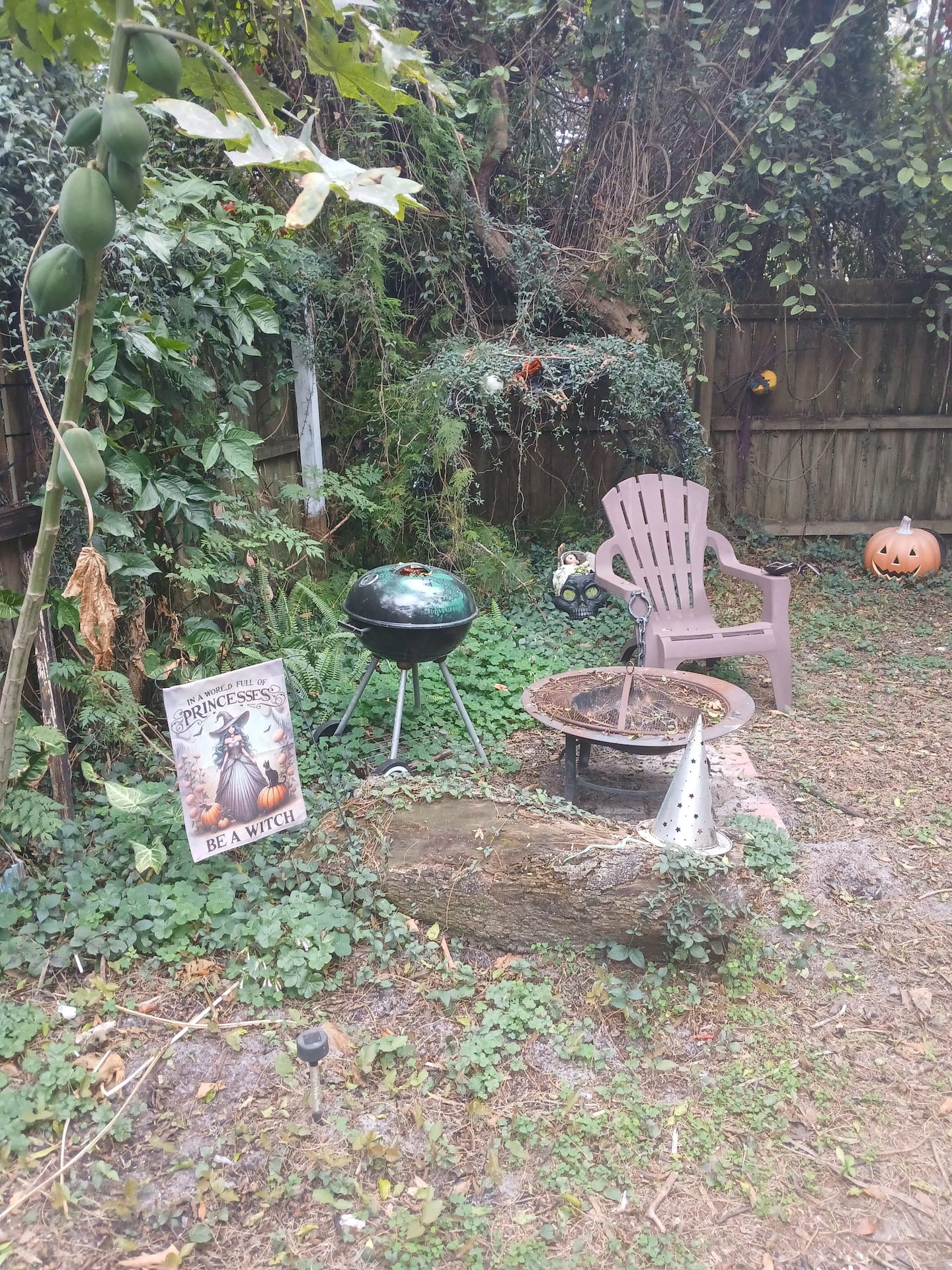 Photo 44