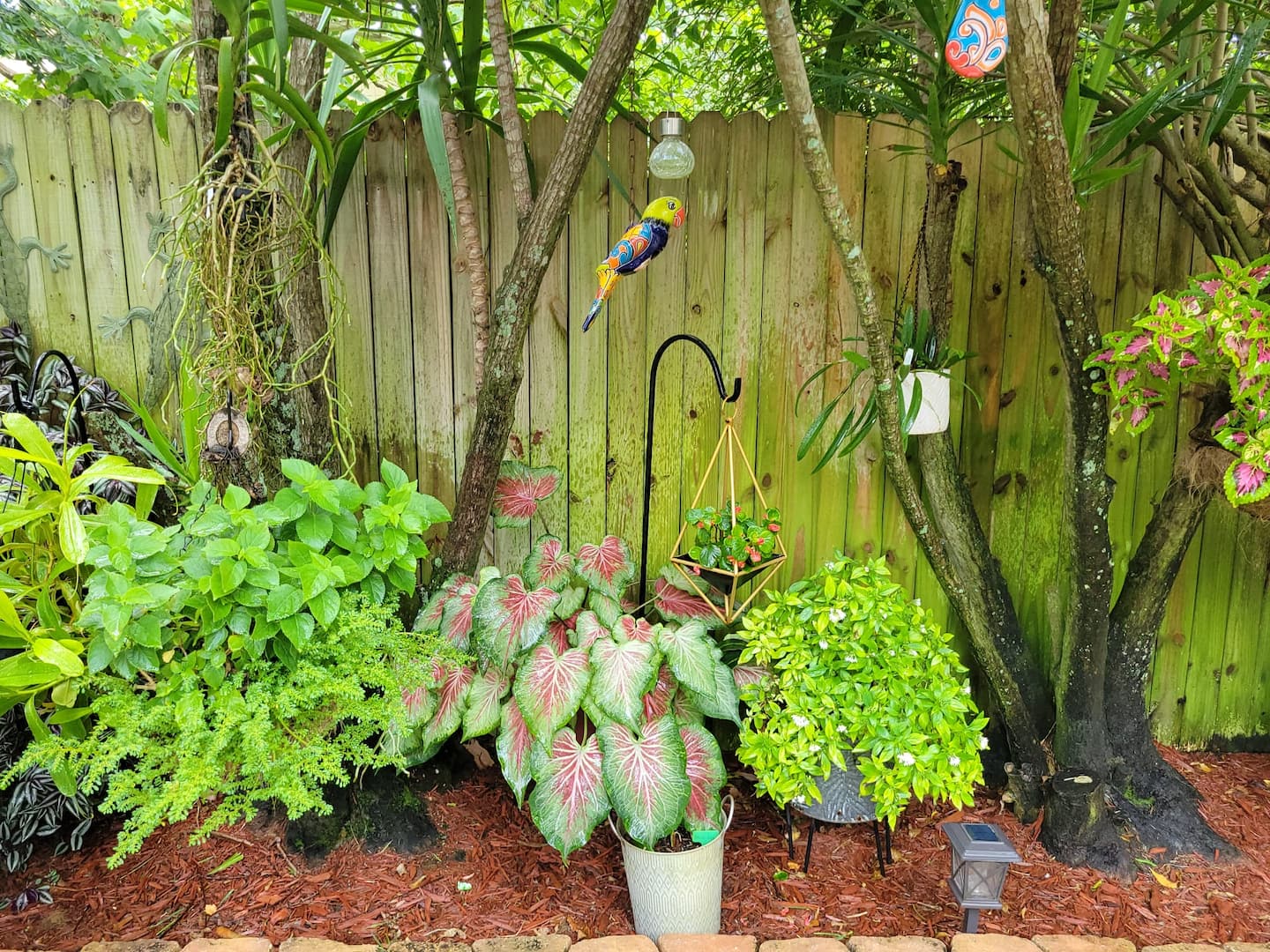 Photo 13