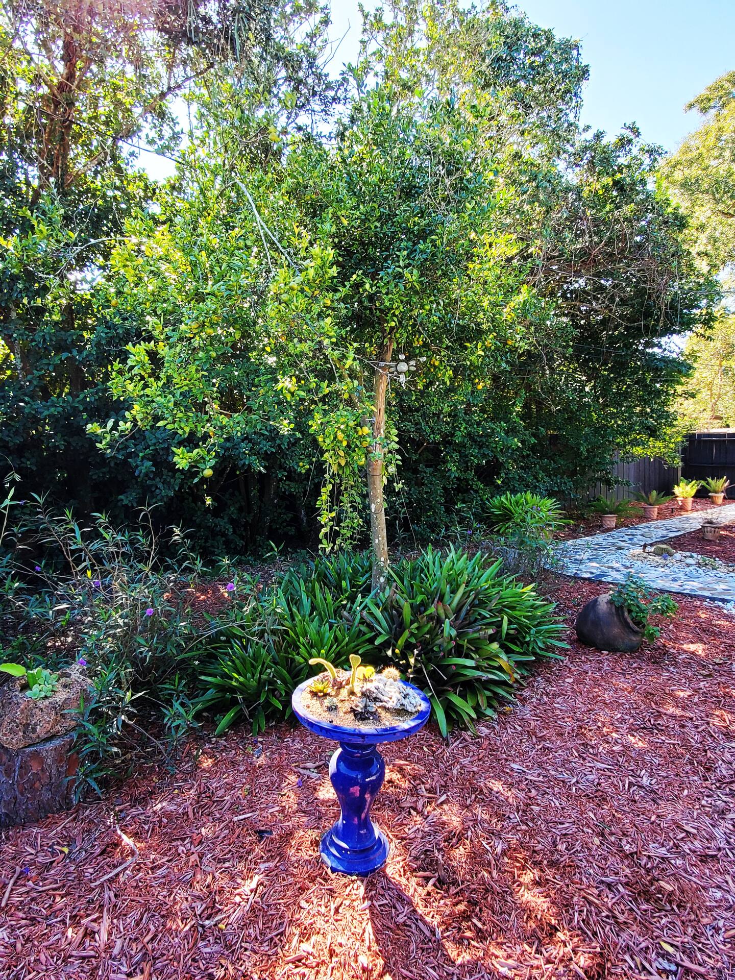 Photo 41
