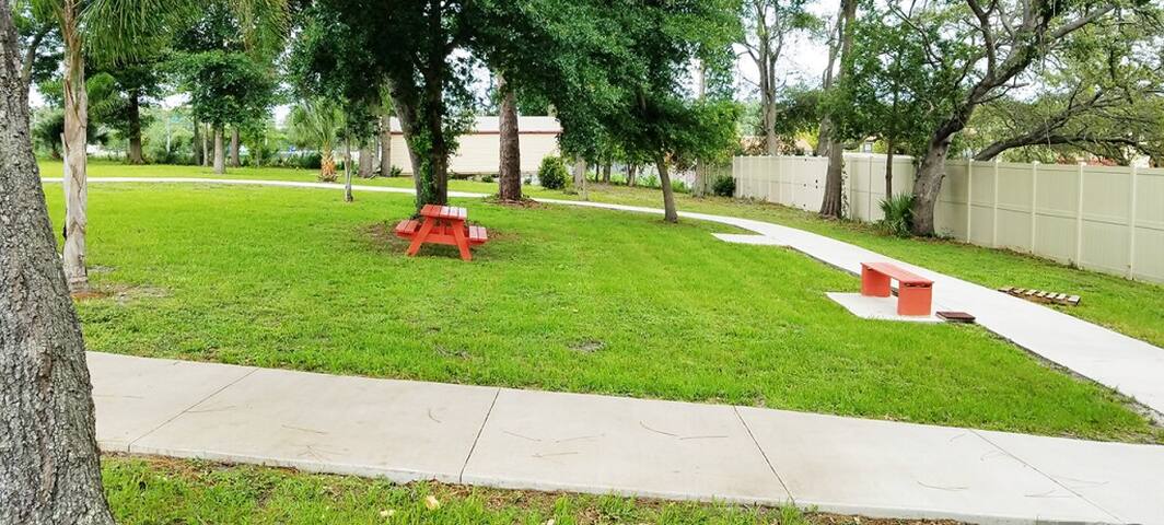 Photo 31