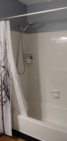 Photo 44