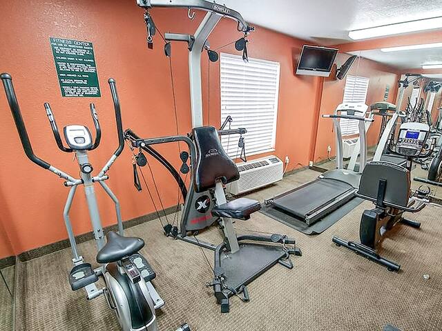 Photo 7