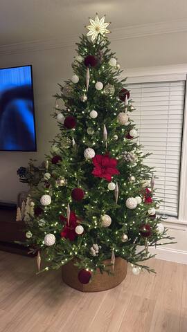 Photo 54