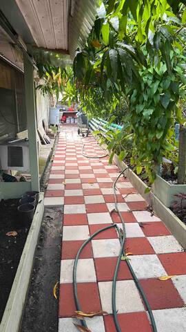 Photo 24