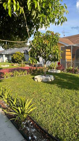 Photo 34