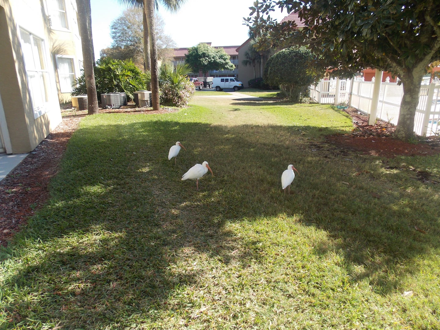 Photo 32