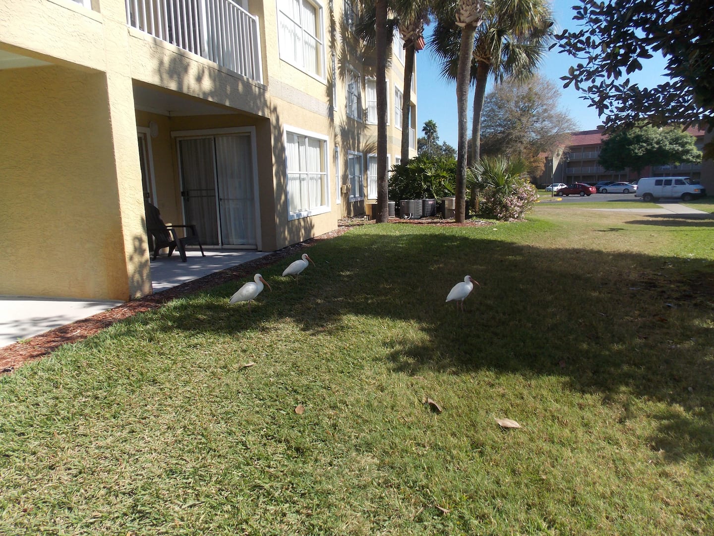 Photo 34