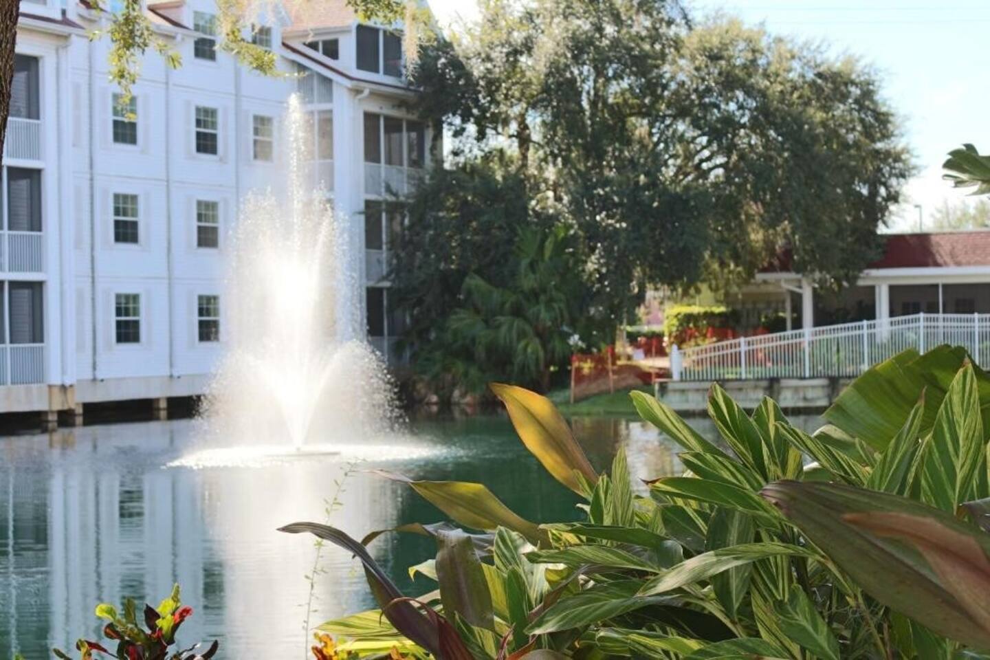 Photo 35