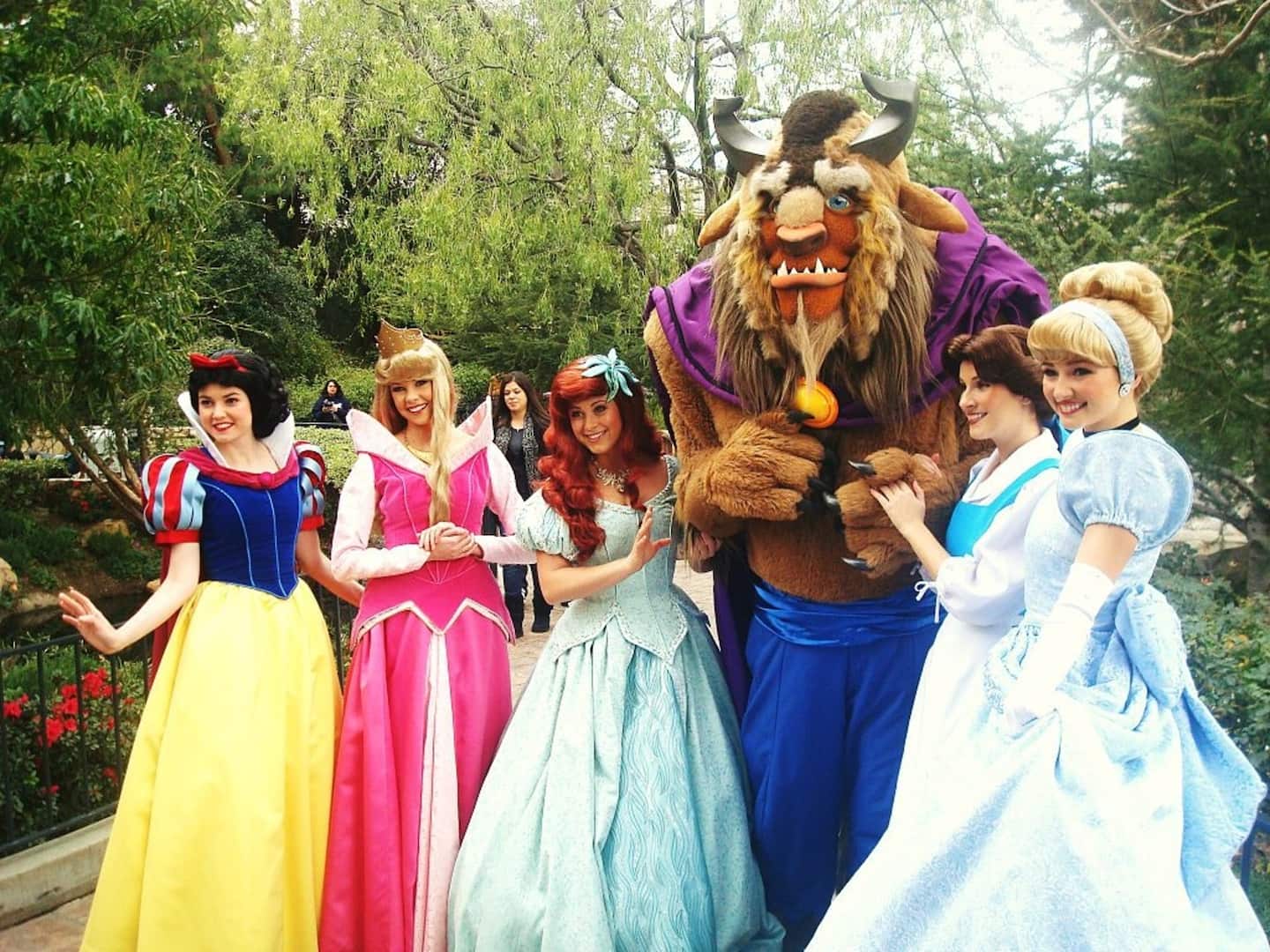 Photo 8