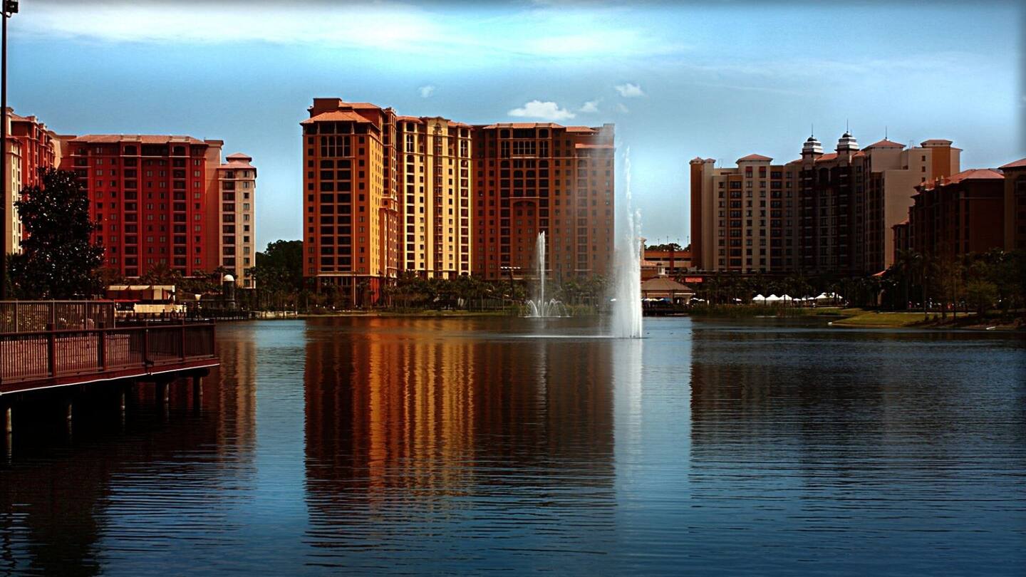 Photo 50