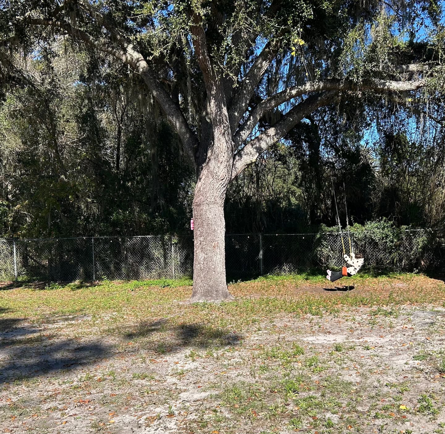 Photo 35