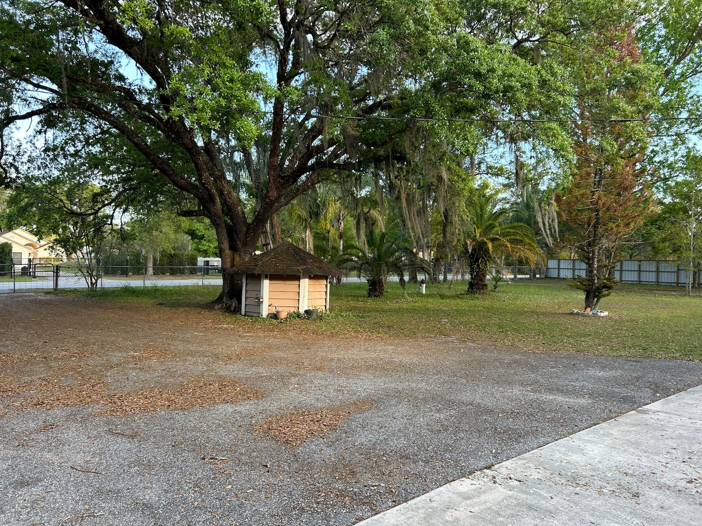 Photo 37