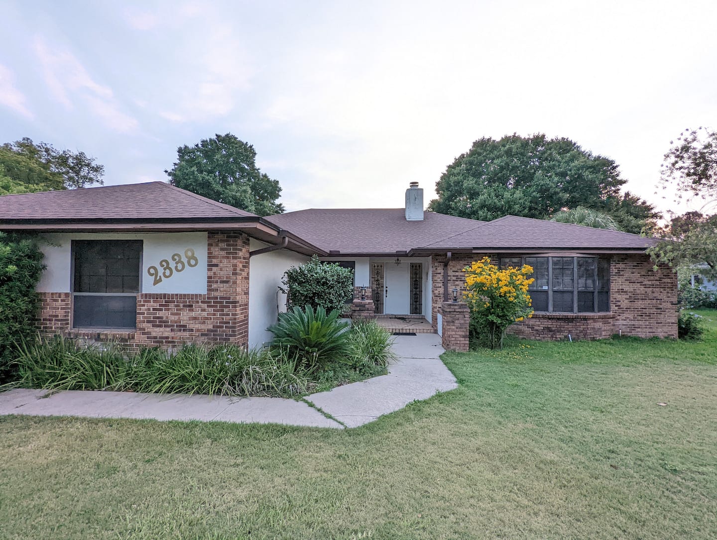 Photo 3