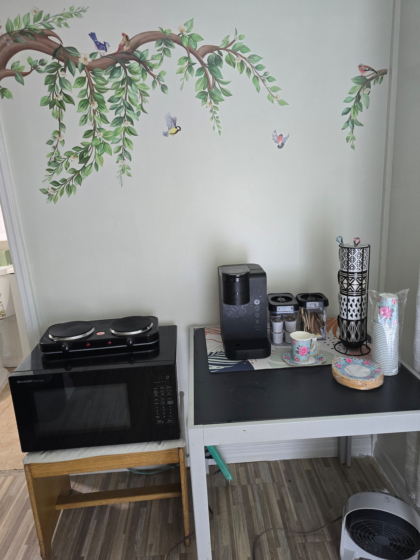 Photo 5