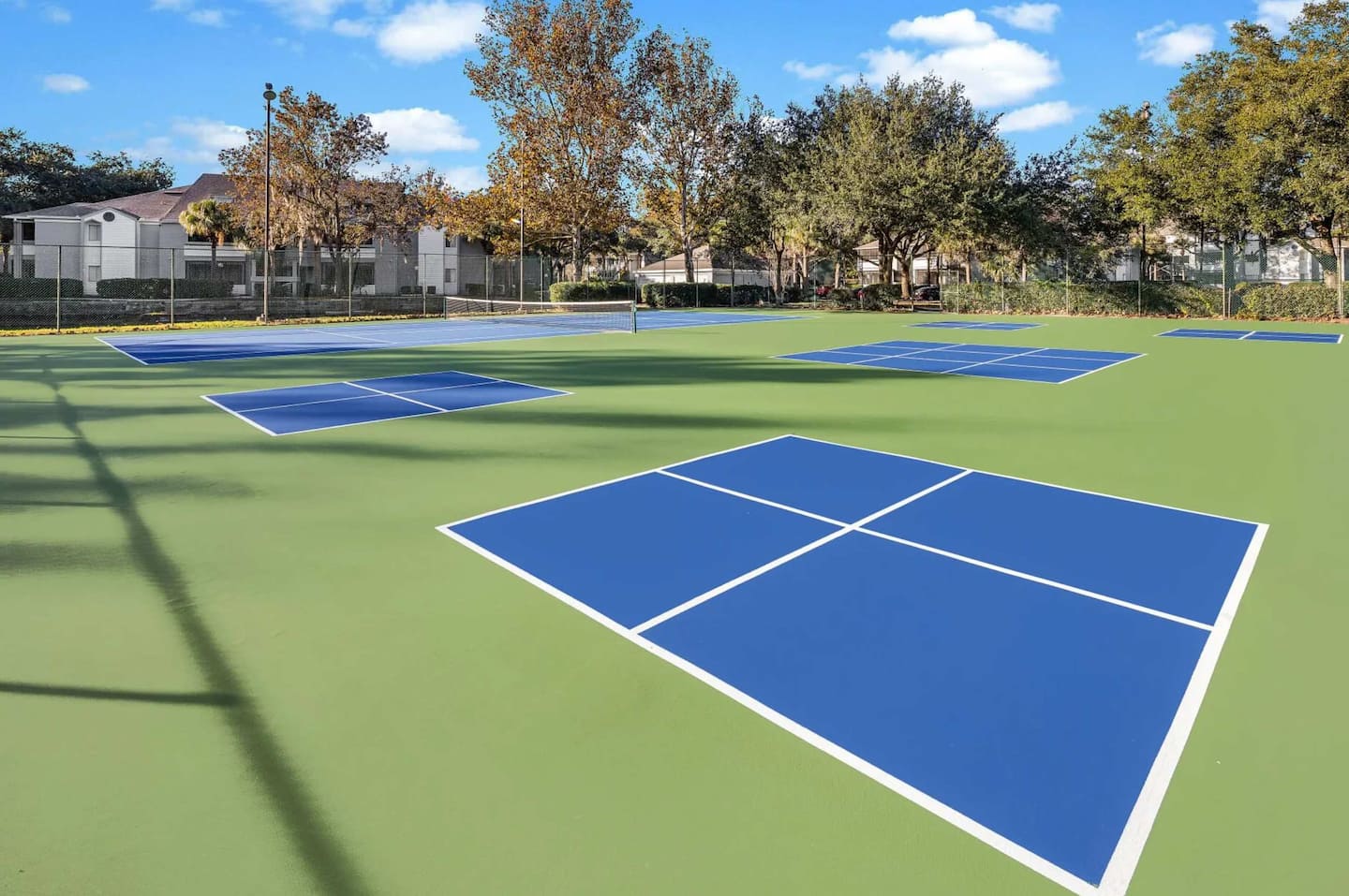 Photo 29