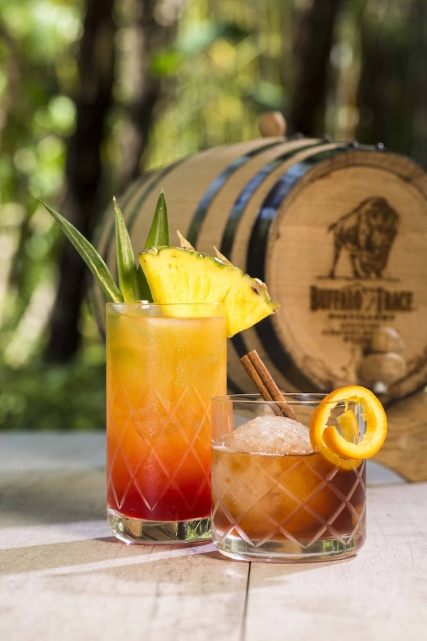 Photo 213