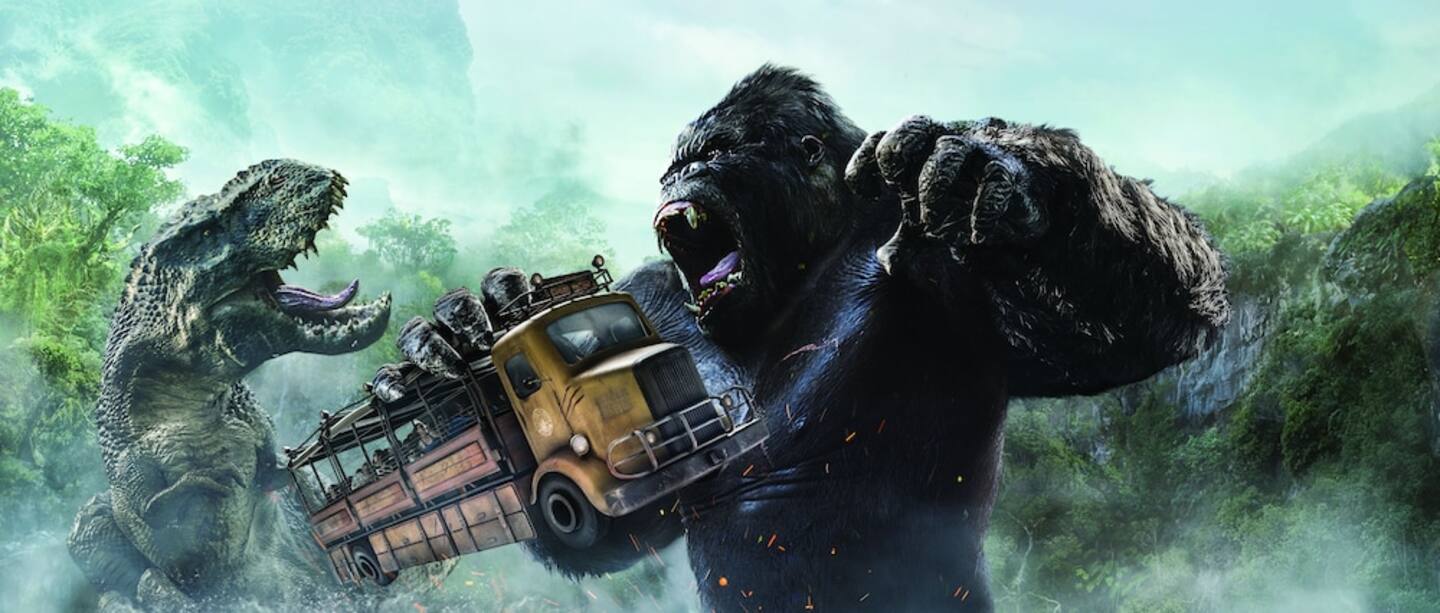 Photo 334