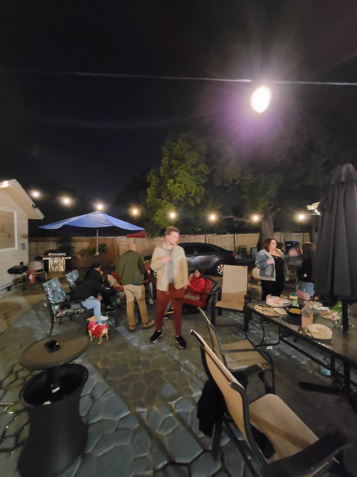 Photo 22