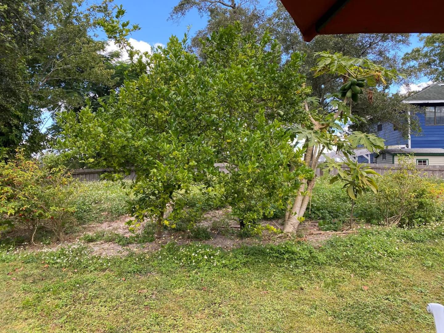 Photo 19