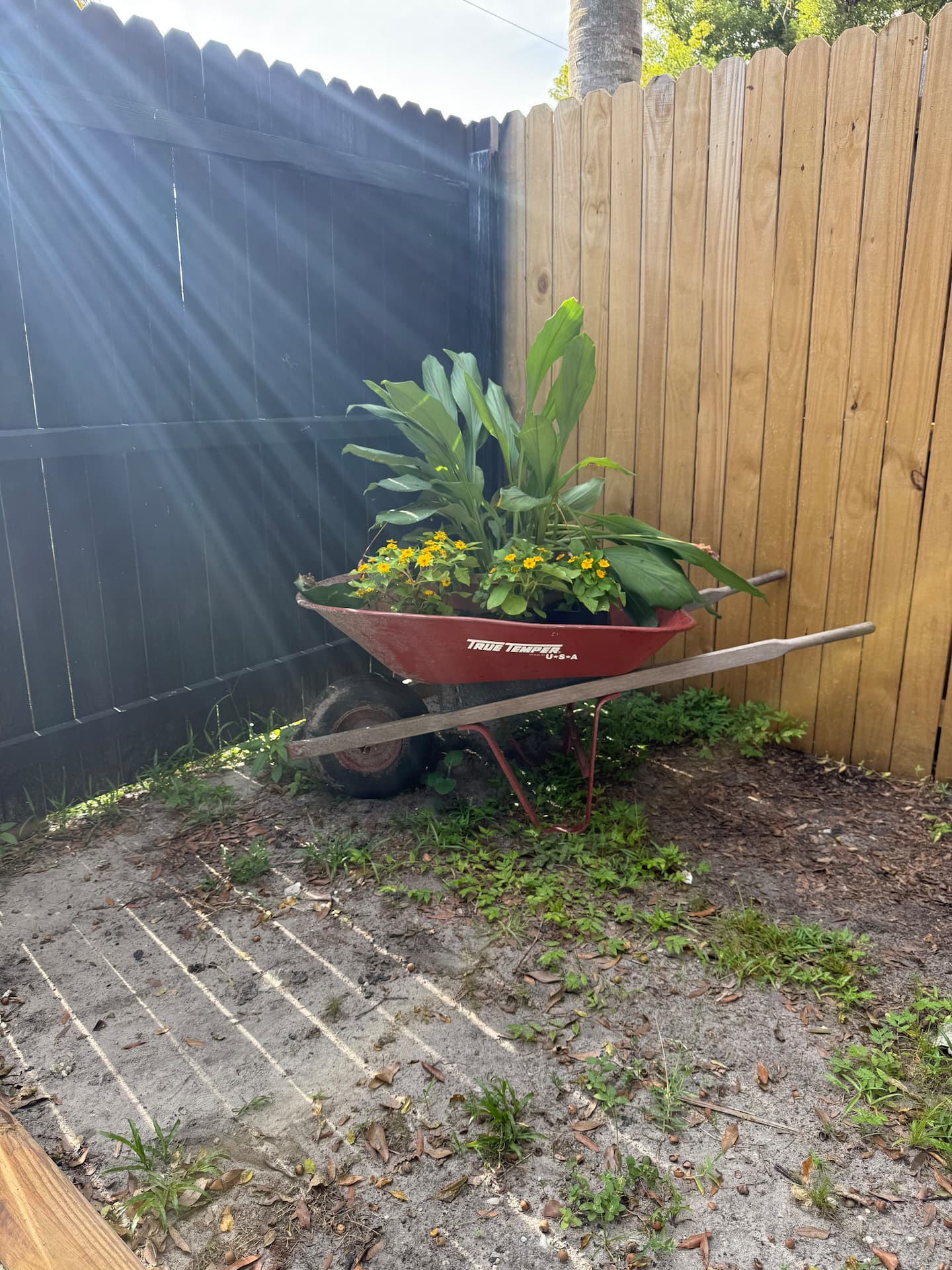 Photo 31
