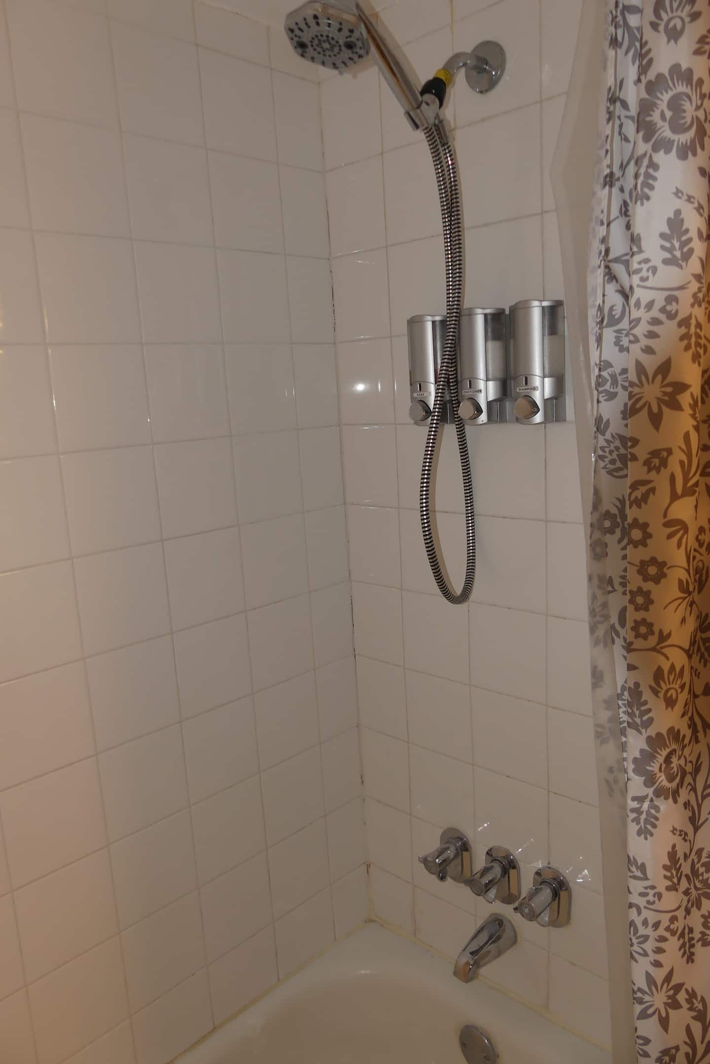 Photo 45